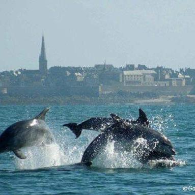 Appartamento Le clos Bohème Saint-Malo Esterno foto